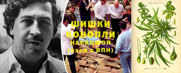 прущие грибы Армянск
