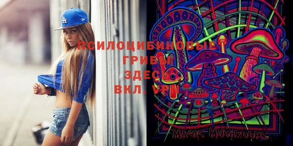 соль ск Алексин