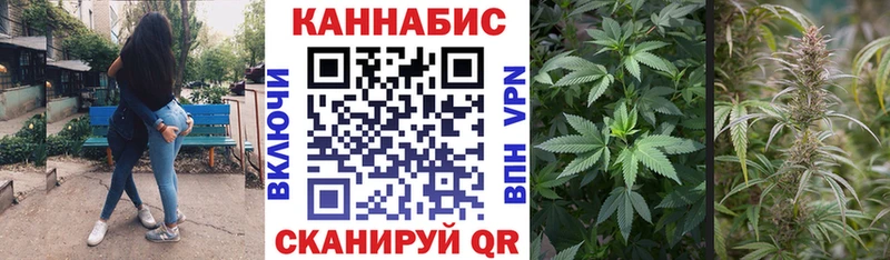 Бошки Шишки THC 21% Пучеж